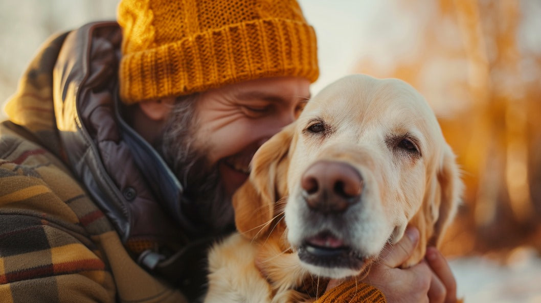 Traveling with Senior Dogs: Tips for a Comfortable and Safe Journey