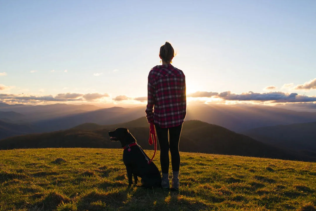 Exploring Pet-Friendly Hiking Trails in the US: Adventure Awaits!