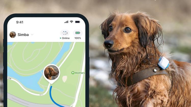 GPS Pet Tracker