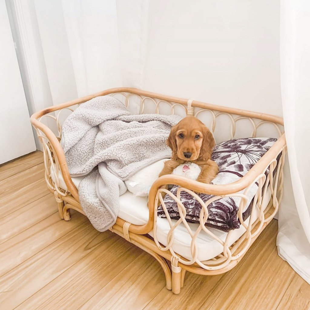 Handmade Rattan Woven Pet Bed | Stylish Sofa for Dogs