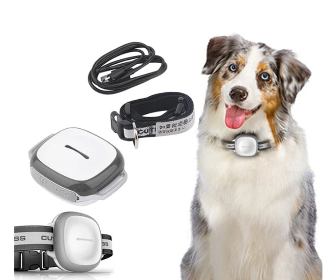 GPS Pet Tracker with Vibration & Fence Alarm - Waterproof, Real-Time Tracking