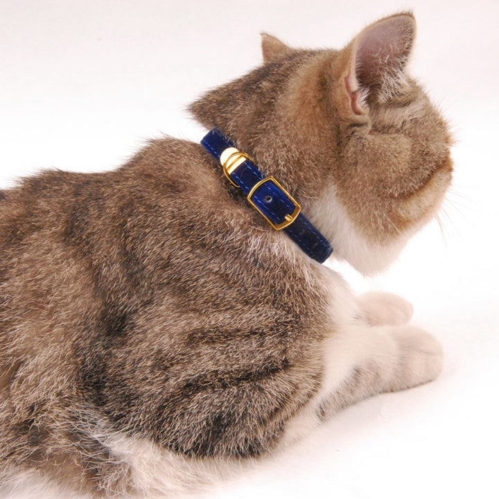 Soft Flocking Cat Collar – Comfortable and Stylish Pet Accessory