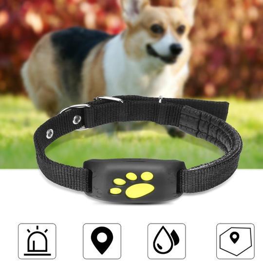 Z8-A GPS Pet Tracker - Waterproof, Real-Time Location Tracking