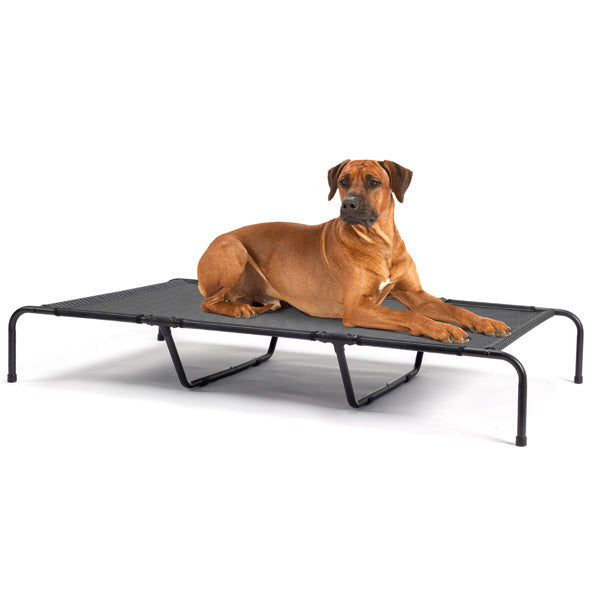 Elevated Dog Bed for Large Breeds | Durable & Comfortable Pet Bed