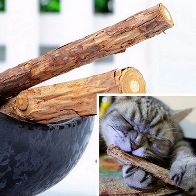 5 PCS Matatabi Catnip Chew Toys for Cats - Natural Dental & Stress Relief Chew Sticks