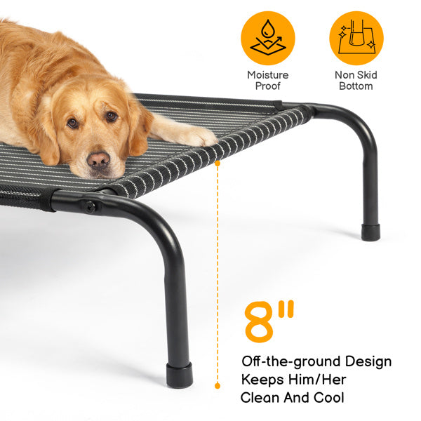 Elevated Dog Bed | Comfortable & Durable Cooling Pet Bed