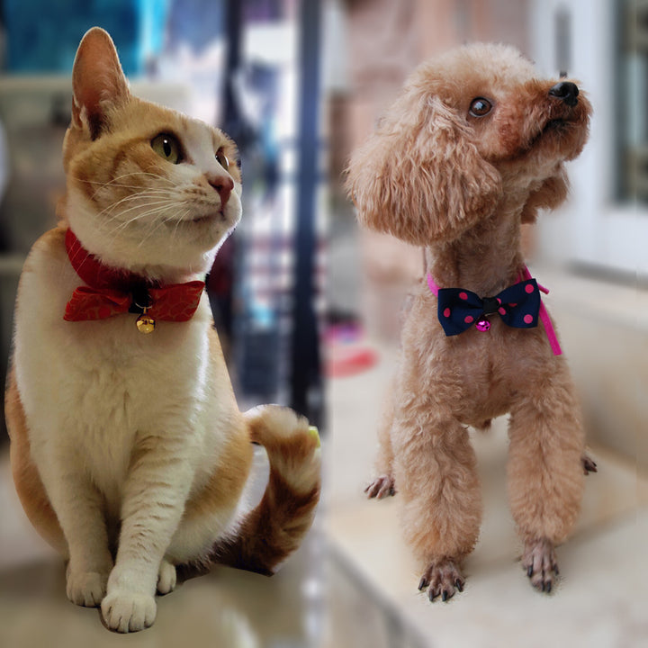 Adjustable Dog & Cat Bow Tie with Copper Bell – Stylish Pet Accessories