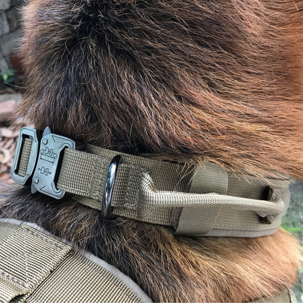 Durable Tactical Dog Collar – High-Quality Nylon, Adjustable, with Quick Release Buckle and Velcro