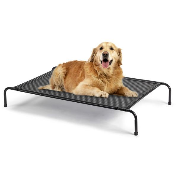 Elevated Dog Bed | Comfortable & Durable Cooling Pet Bed