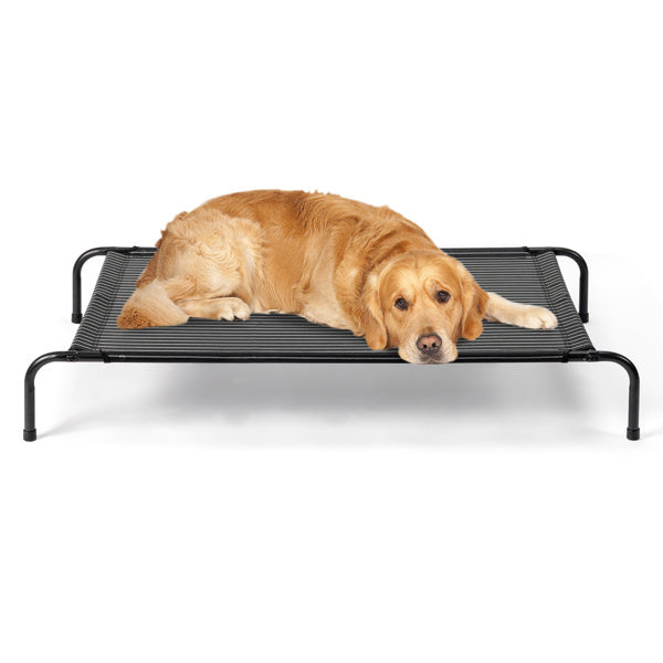 Elevated Dog Bed | Comfortable & Durable Cooling Pet Bed