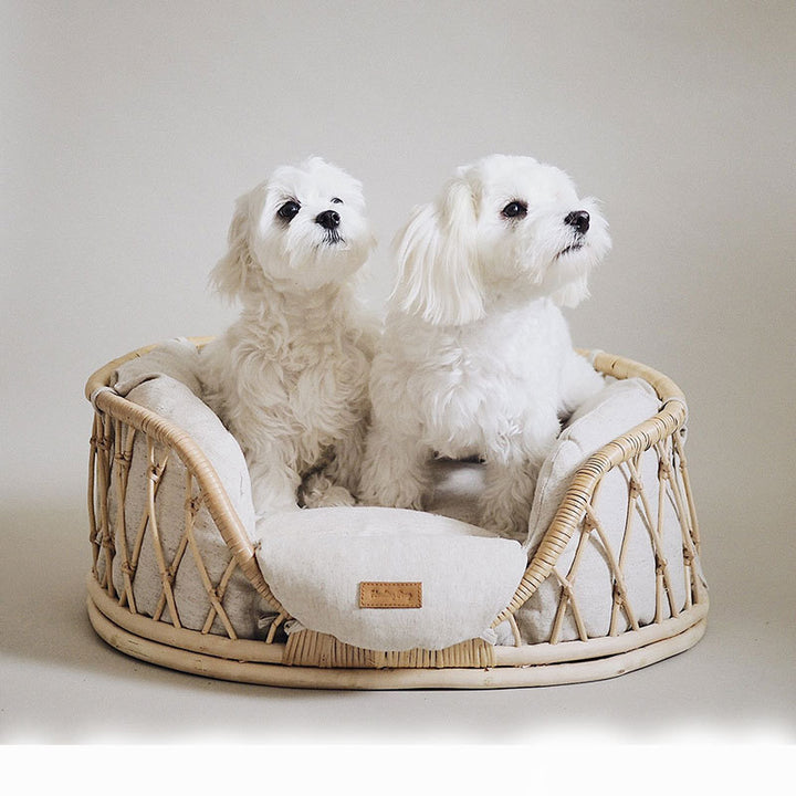 Handmade Rattan Woven Pet Bed | Stylish Sofa for Dogs