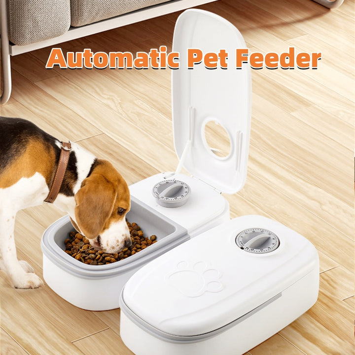 Automatic Timer Pet Feeder Smart Food Dispenser For Cats Dogs Stainless Steel Bowl | Travel and Dogs