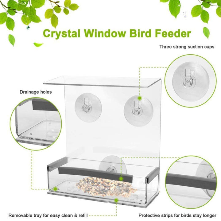 Rectangular Bird Feeder - Durable Acrylic Design