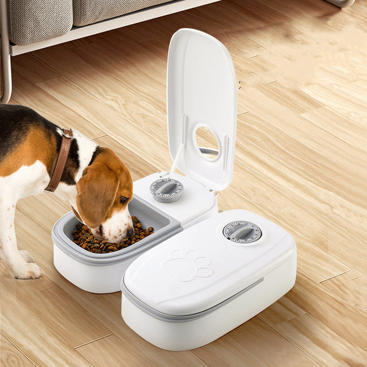 Automatic Timer Pet Feeder Smart Food Dispenser For Cats Dogs Stainless Steel Bowl | Travel and Dogs